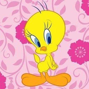 Meet your Posher, Ally